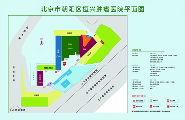 后入猛网站北京市朝阳区桓兴肿瘤医院平面图